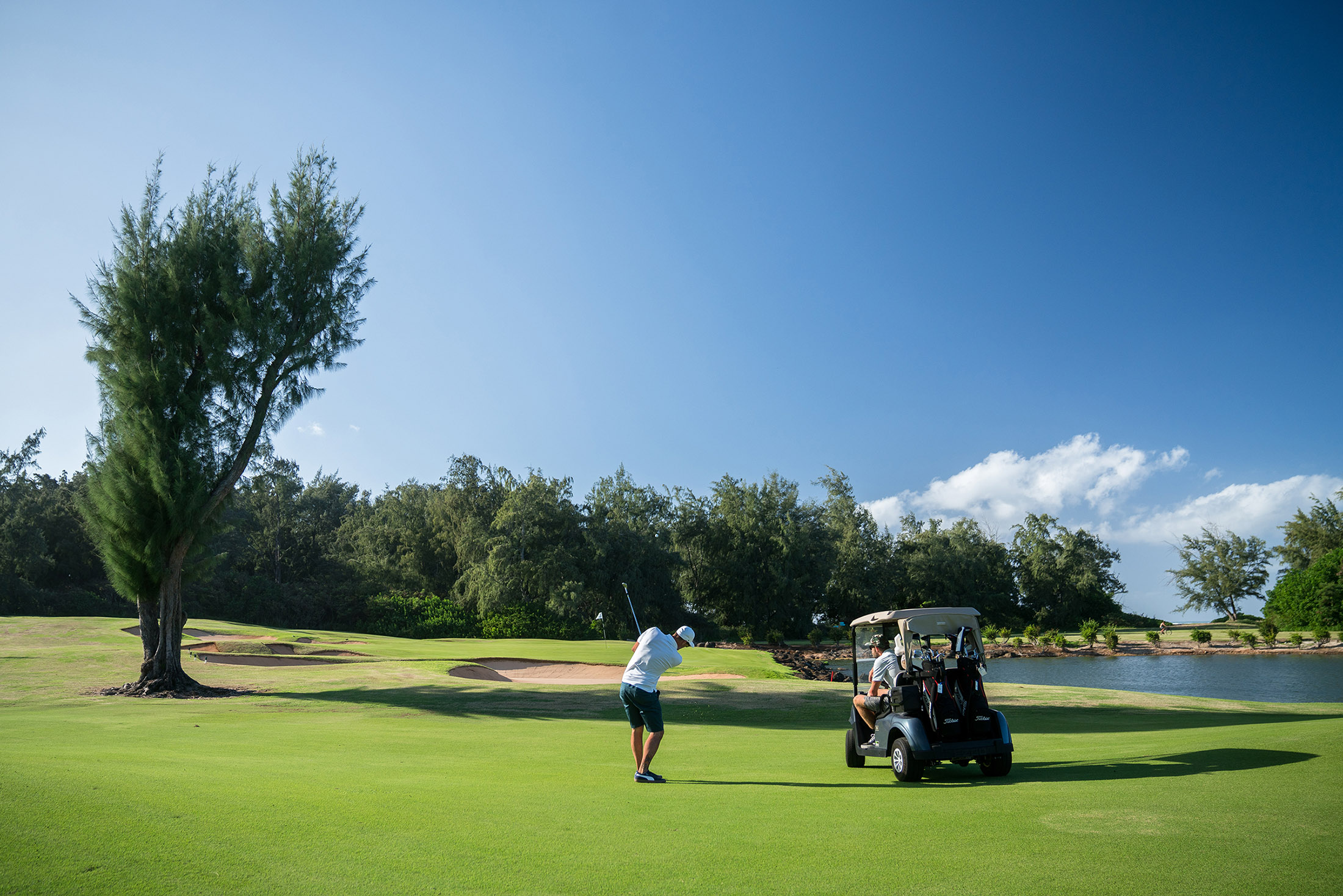 Golfers on Turtle Bay course green