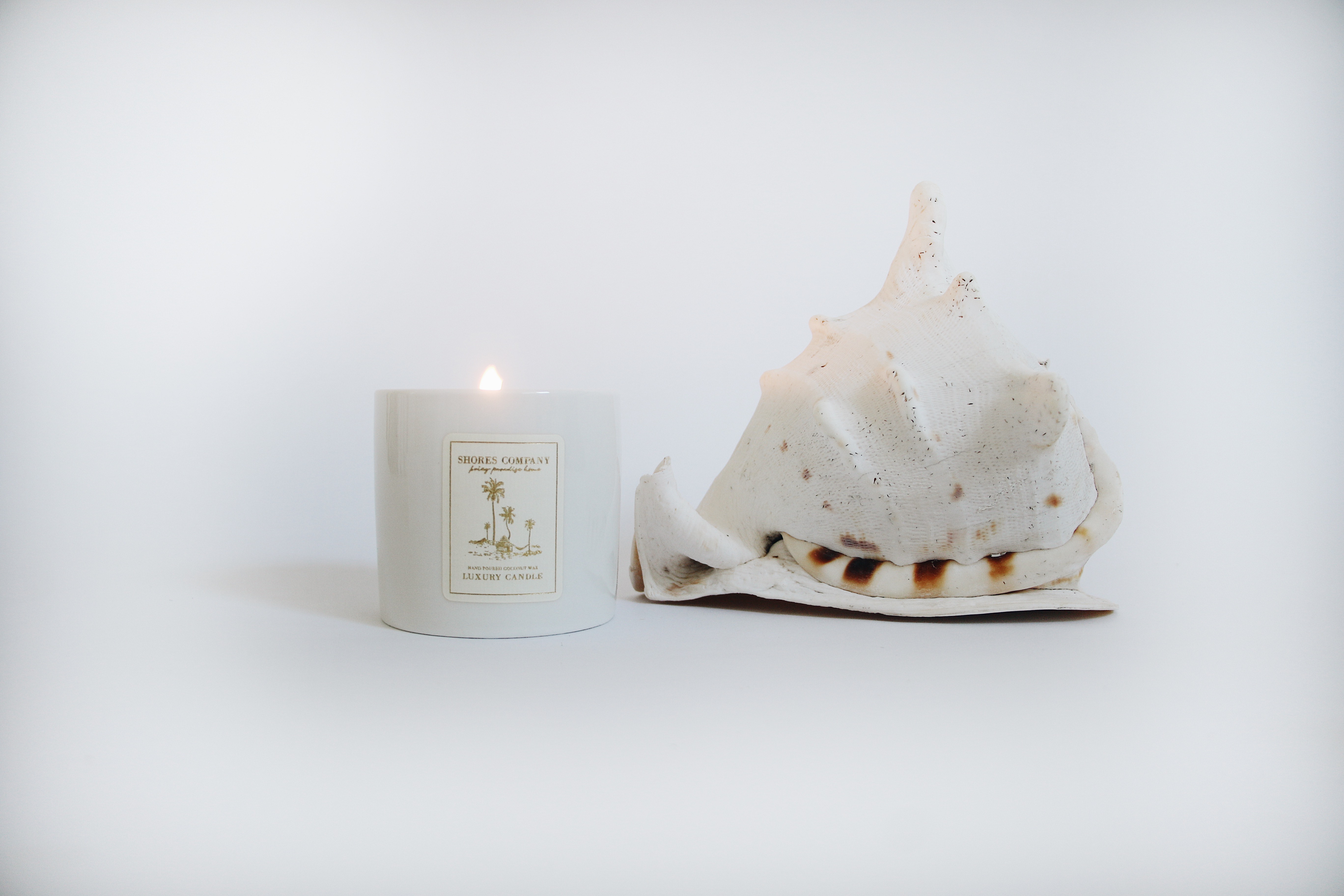 Candle and Shell