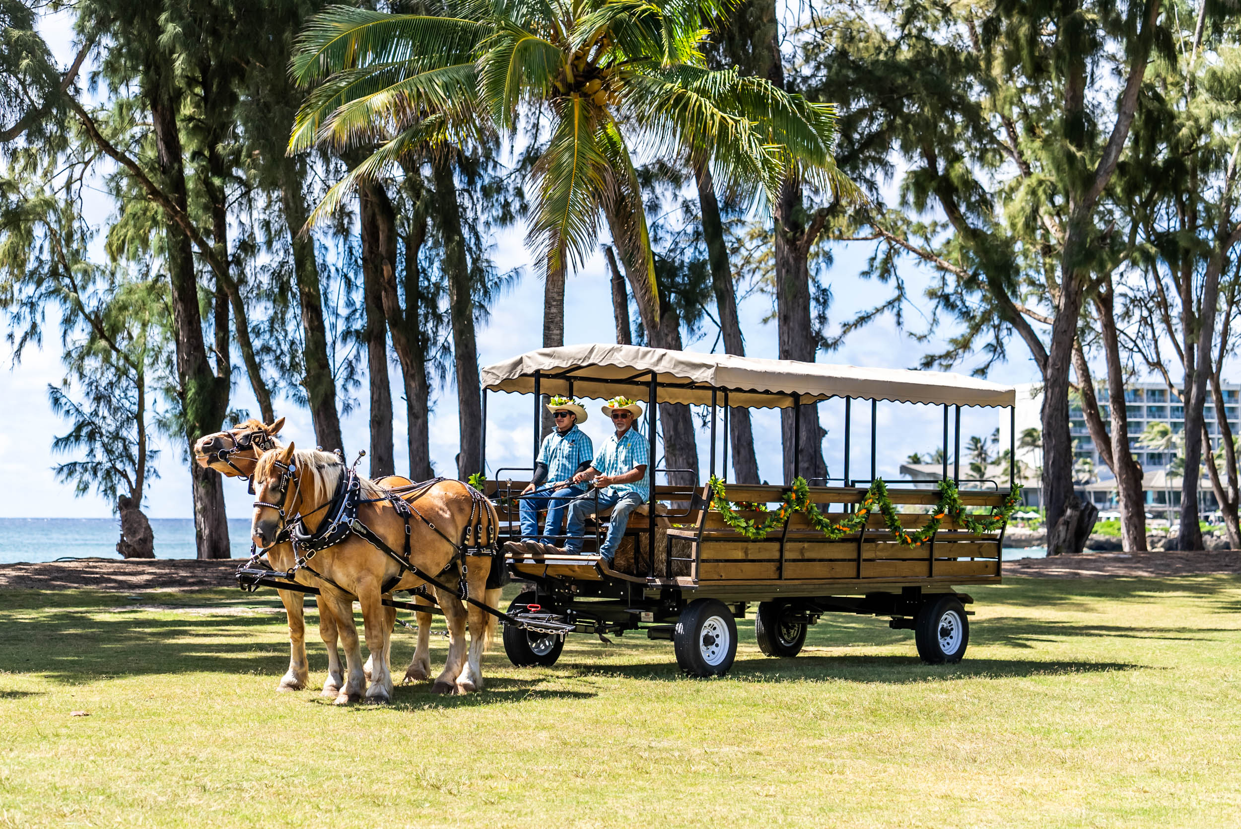 Stables Wagon Ride