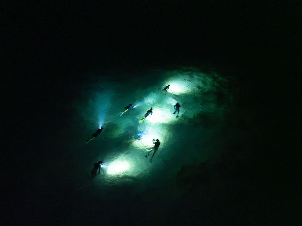 Kuilima Cove Night Snorkel Experience Aerial