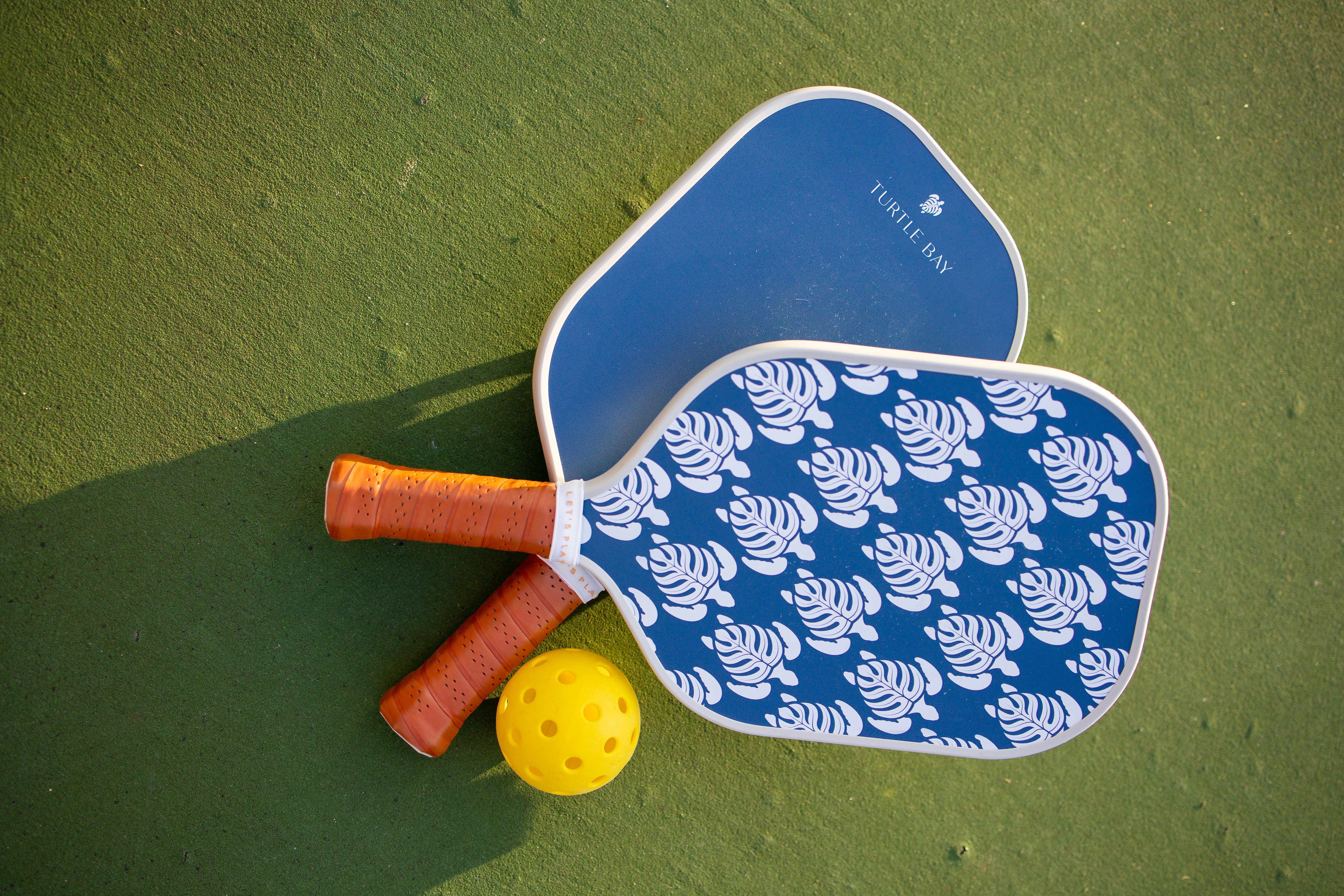 Pickleball Paddles and Ball