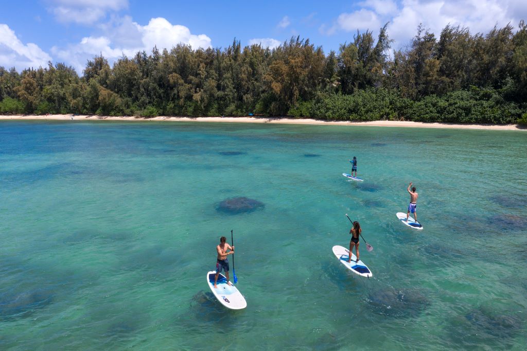 Stand up paddleboard