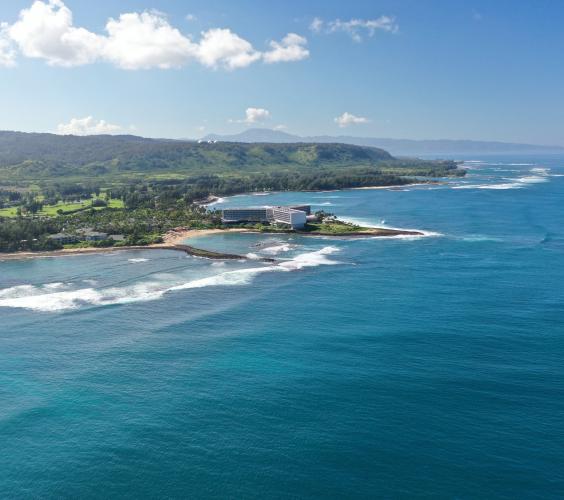 Coastline of Turtle Bay Resort