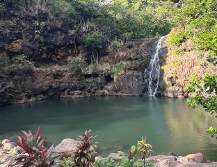 Waimea Waterfall