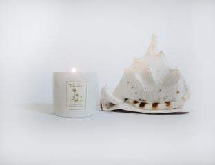 Candle and Shell