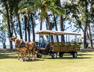 Stables Wagon Ride