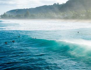 North Shore waves