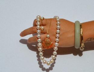 Seashell jewelry