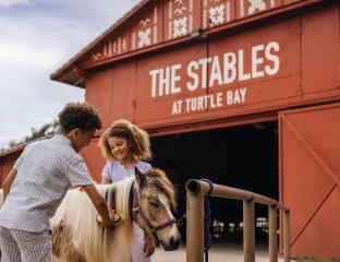 Pony Experience at The Stables