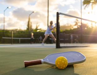  Preview Name Pickleball Paddle and Ball