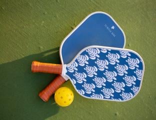 Pickleball Paddles and Ball