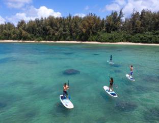 Stand up paddleboard