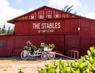Stables Festive Carriage