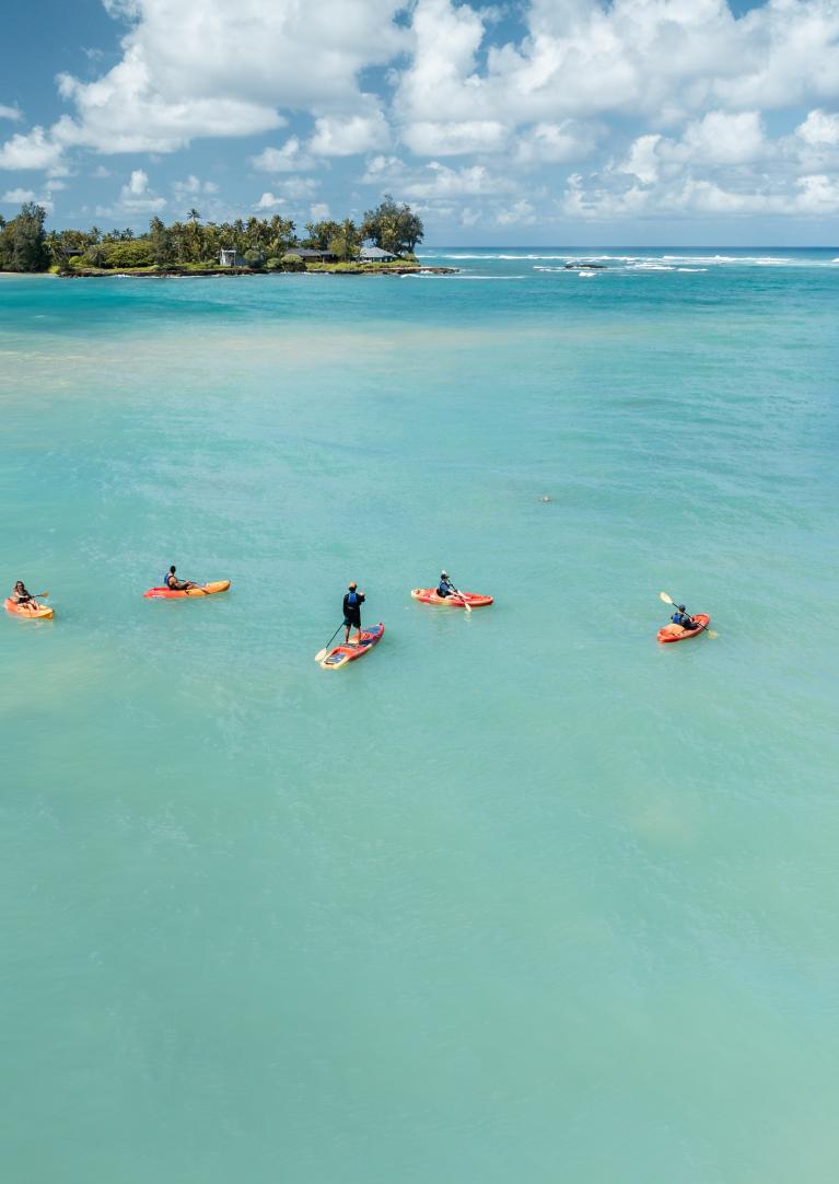 Shaka Kayaks & Eco Tours | Turtle Bay Resort