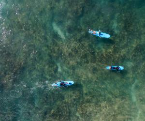 Jamie O'Brien Surf Experience | Turtle Bay Resort