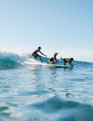 Surf with a Pup