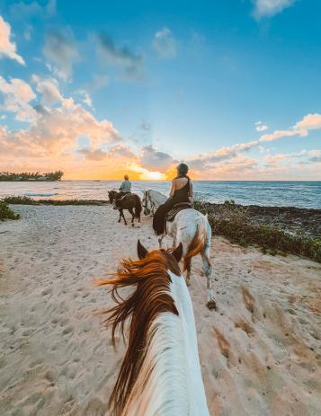 Horseback riding on the beach